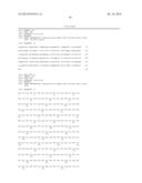 Anti-Human XCR1 Antibodies diagram and image