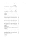 Anti-Human XCR1 Antibodies diagram and image