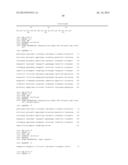 Anti-Human XCR1 Antibodies diagram and image