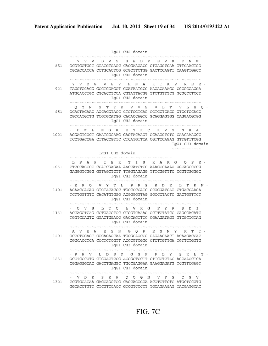 FULLY HUMAN ANTIBODIES AGAINST HUMAN 4-1BB - diagram, schematic, and image 20