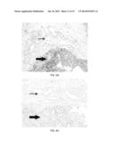 DIAGNOSIS AND TREATMENT OF VIRAL DISEASES diagram and image