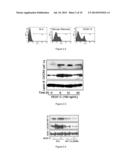 METHOD AND MEDICAMENT FOR INHIBITING LYMPHANGIOGENESIS diagram and image