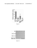 METHOD AND MEDICAMENT FOR INHIBITING LYMPHANGIOGENESIS diagram and image