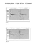 PEPTIDE CARRIER FUSION PROTEINS AS ALLERGY VACCINES diagram and image