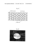 METHODS FOR PREPARATION OF NEO-CARTILAGE CONSTRUCTS diagram and image