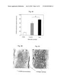 METHODS FOR PREPARATION OF NEO-CARTILAGE CONSTRUCTS diagram and image