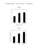 METHODS FOR PREPARATION OF NEO-CARTILAGE CONSTRUCTS diagram and image