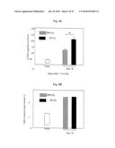 METHODS FOR PREPARATION OF NEO-CARTILAGE CONSTRUCTS diagram and image