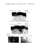 METHODS FOR PREPARATION OF NEO-CARTILAGE CONSTRUCTS diagram and image