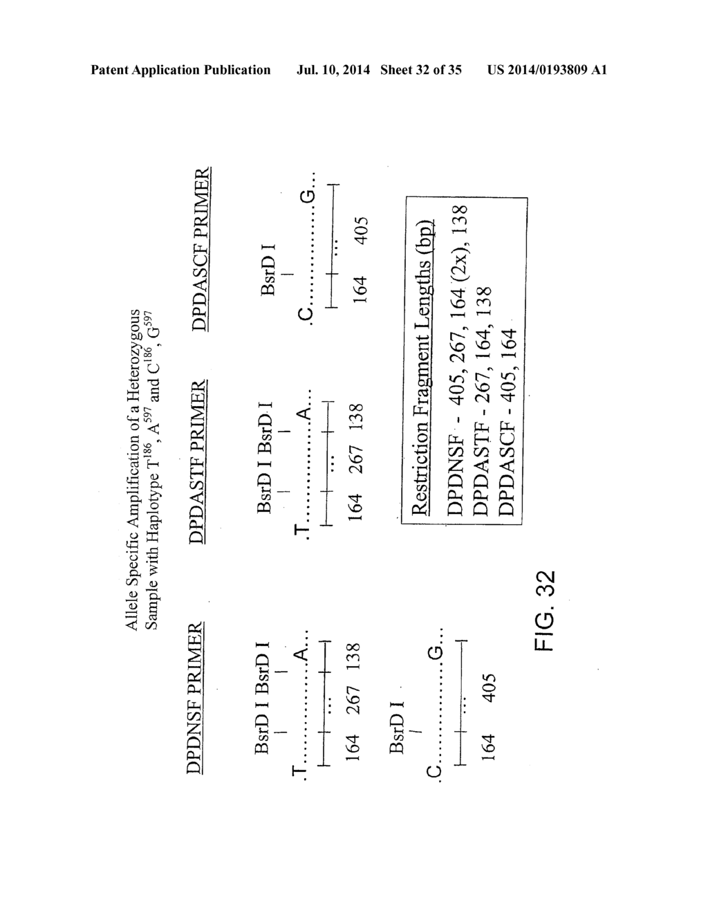 METHODS FOR GENETIC ANALYSIS OF DNA TO DETECT SEQUENCE VARIANCES - diagram, schematic, and image 33