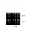 SINGLE-CELL NUCLEIC ACID ANALYSIS diagram and image