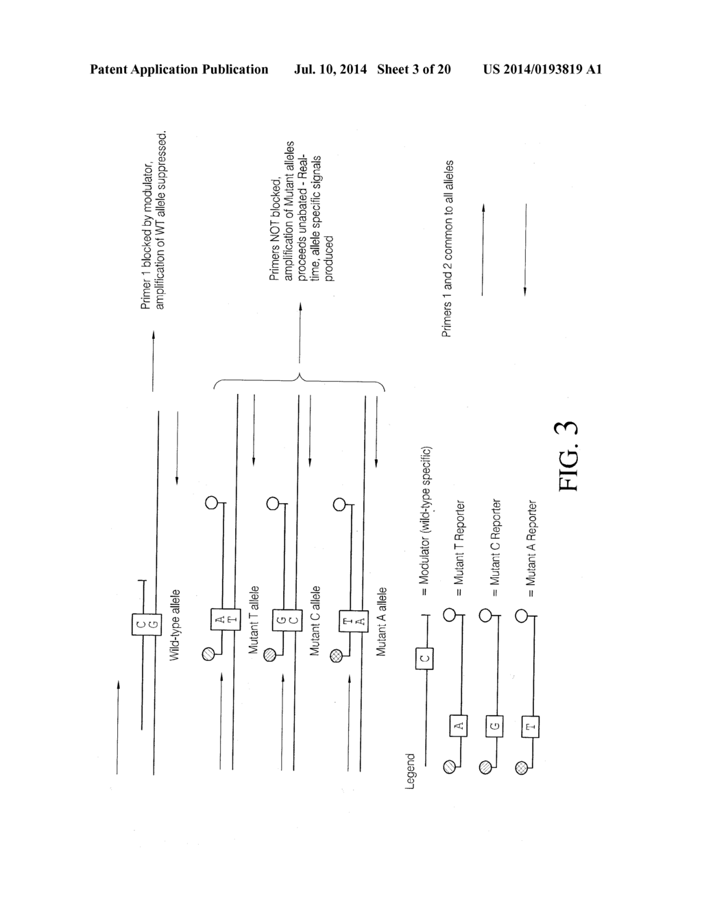 METHODS AND COMPOSITIONS FOR MODULATION OF AMPLIFICATION EFFICIENCY - diagram, schematic, and image 04