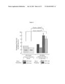 EXONIC SPLICING ENHANCERS AND EXONIC SPLICING SILENCERS diagram and image