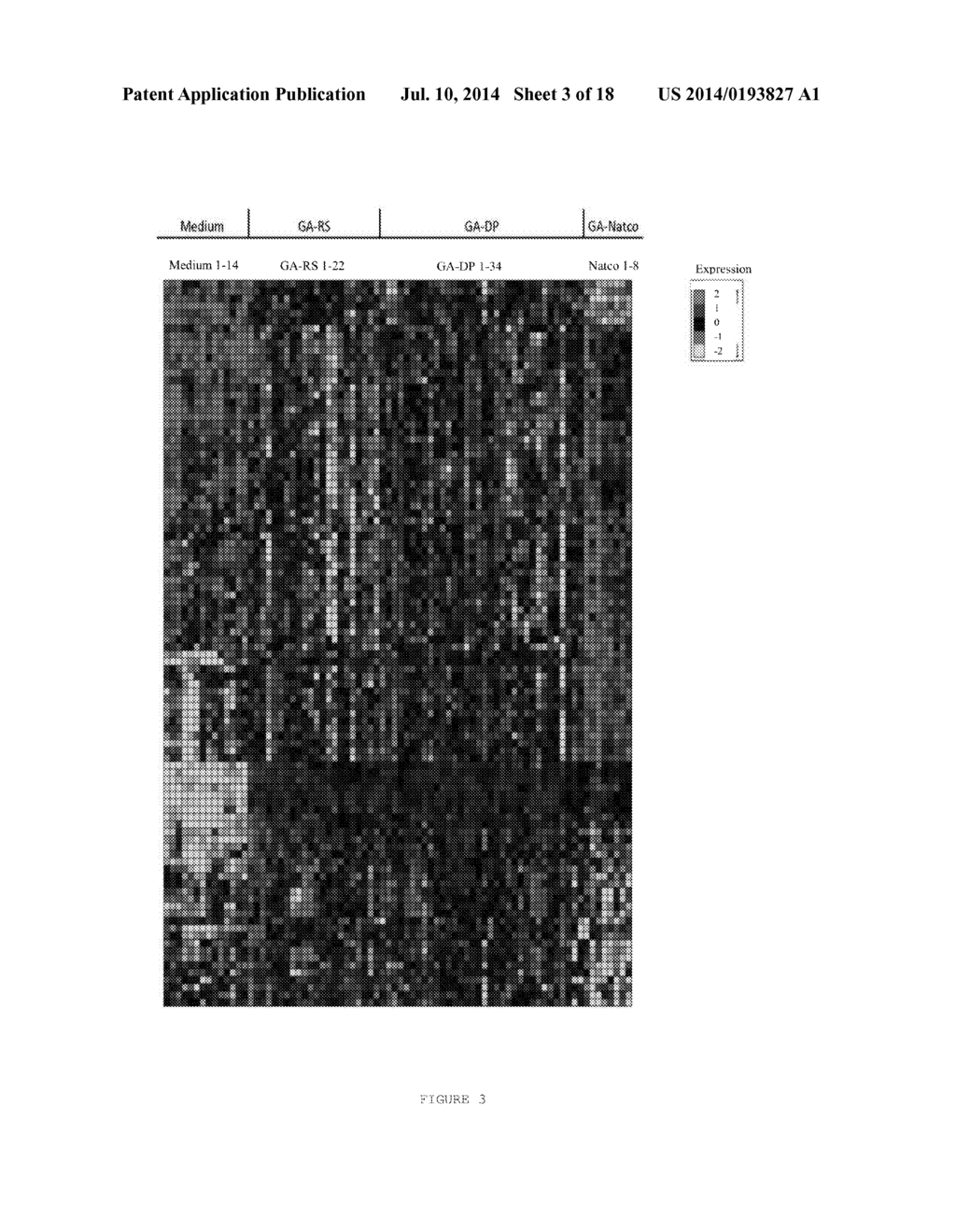 CHARACTERIZING A GLATIRAMER ACETATE RELATED DRUG PRODUCT - diagram, schematic, and image 04