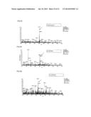 GLUTATHIONE ALKYLESTER ISOTOPOLOGUE AND METHOD FOR DETECTING REACTIVE     METABOLITE diagram and image