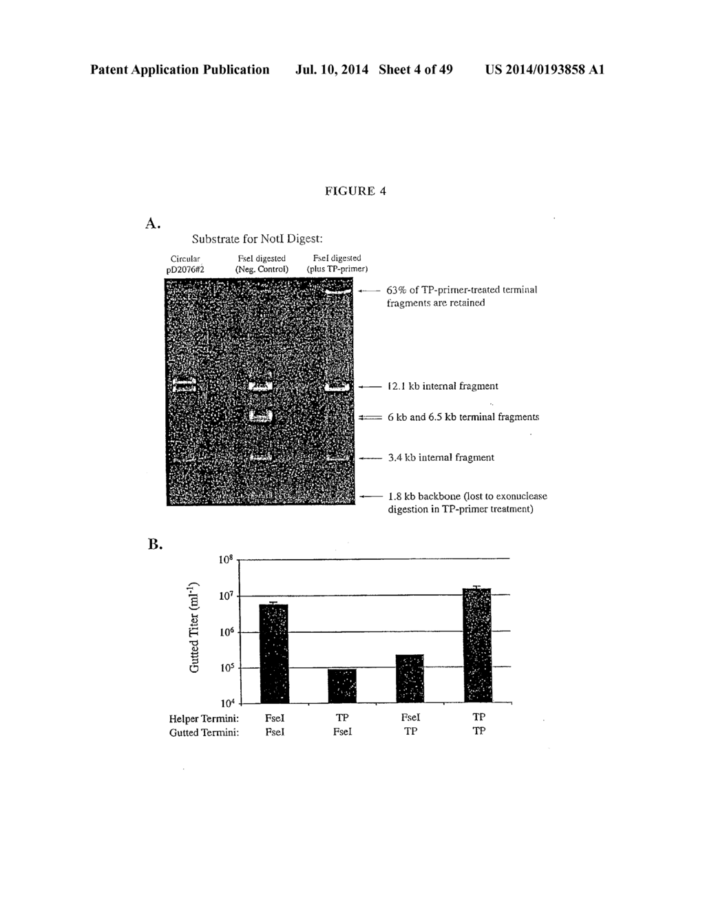 PRODUCTION OF VIRAL VECTORS - diagram, schematic, and image 05