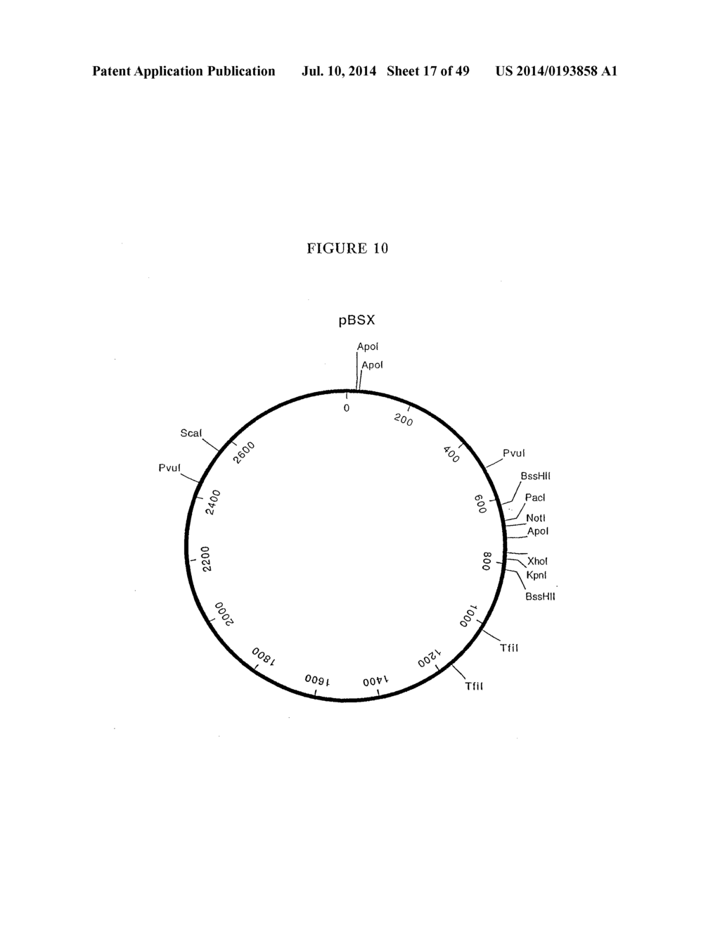 PRODUCTION OF VIRAL VECTORS - diagram, schematic, and image 18