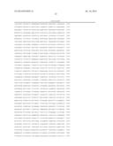 PRODUCTION OF VIRAL VECTORS diagram and image