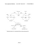 EXTRACELLULAR POLYHYDROXYALKANOATES PRODUCED BY GENETICALLY ENGINEERED     MICROORGANISMS diagram and image