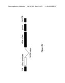 MODIFIED FACTOR VIII AND FACTOR IX GENES AND VECTORS FOR GENE THERAPY diagram and image