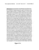 MODIFIED FACTOR VIII AND FACTOR IX GENES AND VECTORS FOR GENE THERAPY diagram and image