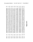 MODIFIED FACTOR VIII AND FACTOR IX GENES AND VECTORS FOR GENE THERAPY diagram and image