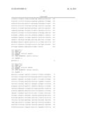 MODIFIED FACTOR VIII AND FACTOR IX GENES AND VECTORS FOR GENE THERAPY diagram and image