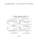 Microcarriers for Stem Cell Culture diagram and image