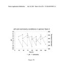 Microcarriers for Stem Cell Culture diagram and image