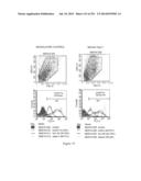 Microcarriers for Stem Cell Culture diagram and image