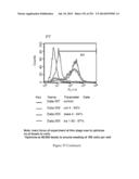 Microcarriers for Stem Cell Culture diagram and image