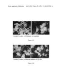 Microcarriers for Stem Cell Culture diagram and image