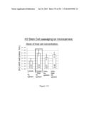 Microcarriers for Stem Cell Culture diagram and image