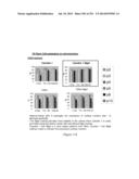 Microcarriers for Stem Cell Culture diagram and image