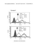 Microcarriers for Stem Cell Culture diagram and image