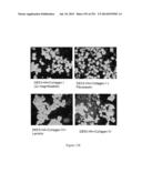 Microcarriers for Stem Cell Culture diagram and image