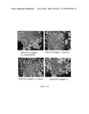 Microcarriers for Stem Cell Culture diagram and image