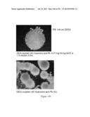 Microcarriers for Stem Cell Culture diagram and image