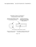 Microcarriers for Stem Cell Culture diagram and image