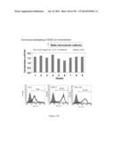 Microcarriers for Stem Cell Culture diagram and image