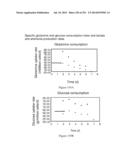 Microcarriers for Stem Cell Culture diagram and image