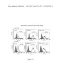 Microcarriers for Stem Cell Culture diagram and image