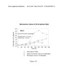 Microcarriers for Stem Cell Culture diagram and image