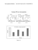 Microcarriers for Stem Cell Culture diagram and image