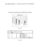 Microcarriers for Stem Cell Culture diagram and image