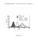 Microcarriers for Stem Cell Culture diagram and image