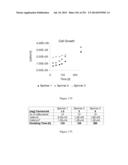 Microcarriers for Stem Cell Culture diagram and image