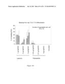 Microcarriers for Stem Cell Culture diagram and image