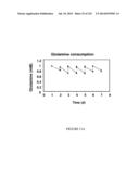 Microcarriers for Stem Cell Culture diagram and image