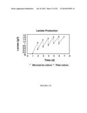 Microcarriers for Stem Cell Culture diagram and image